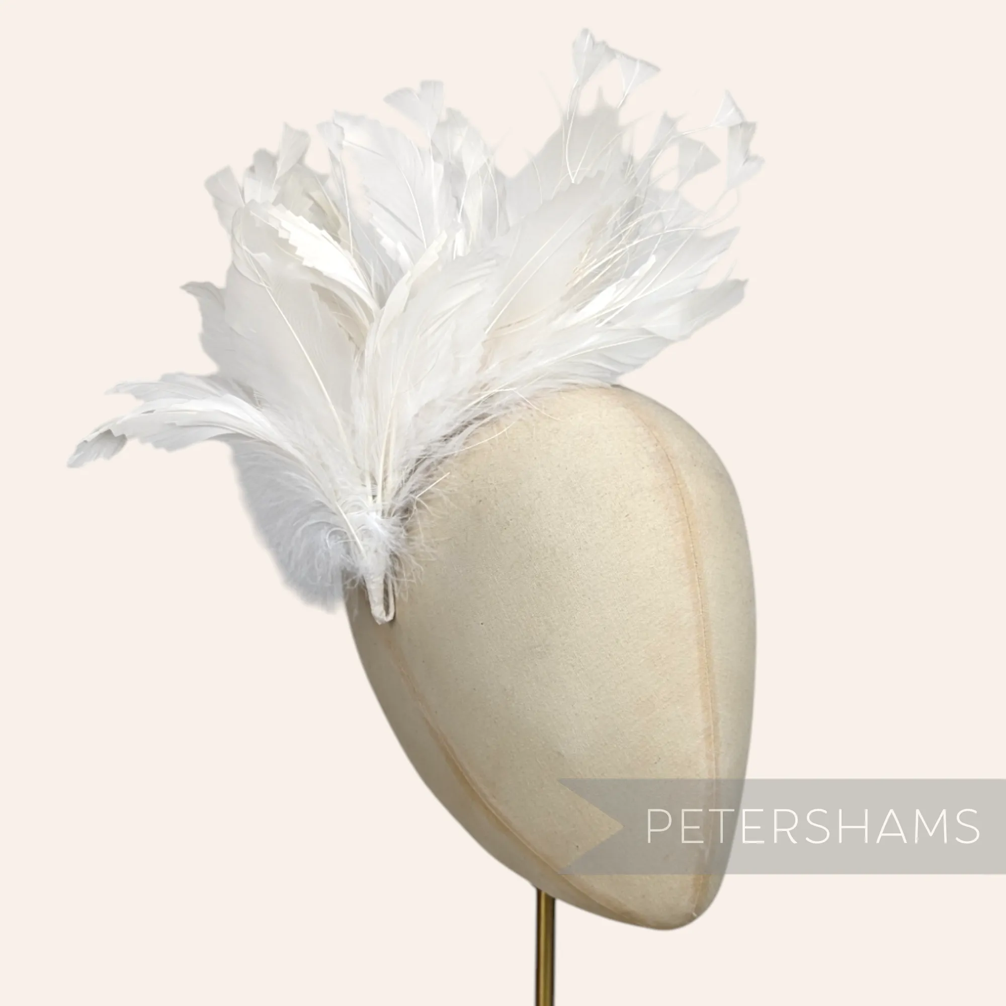 Large Zig Zag Goose, Coque & Peacock Feather Hat Mount