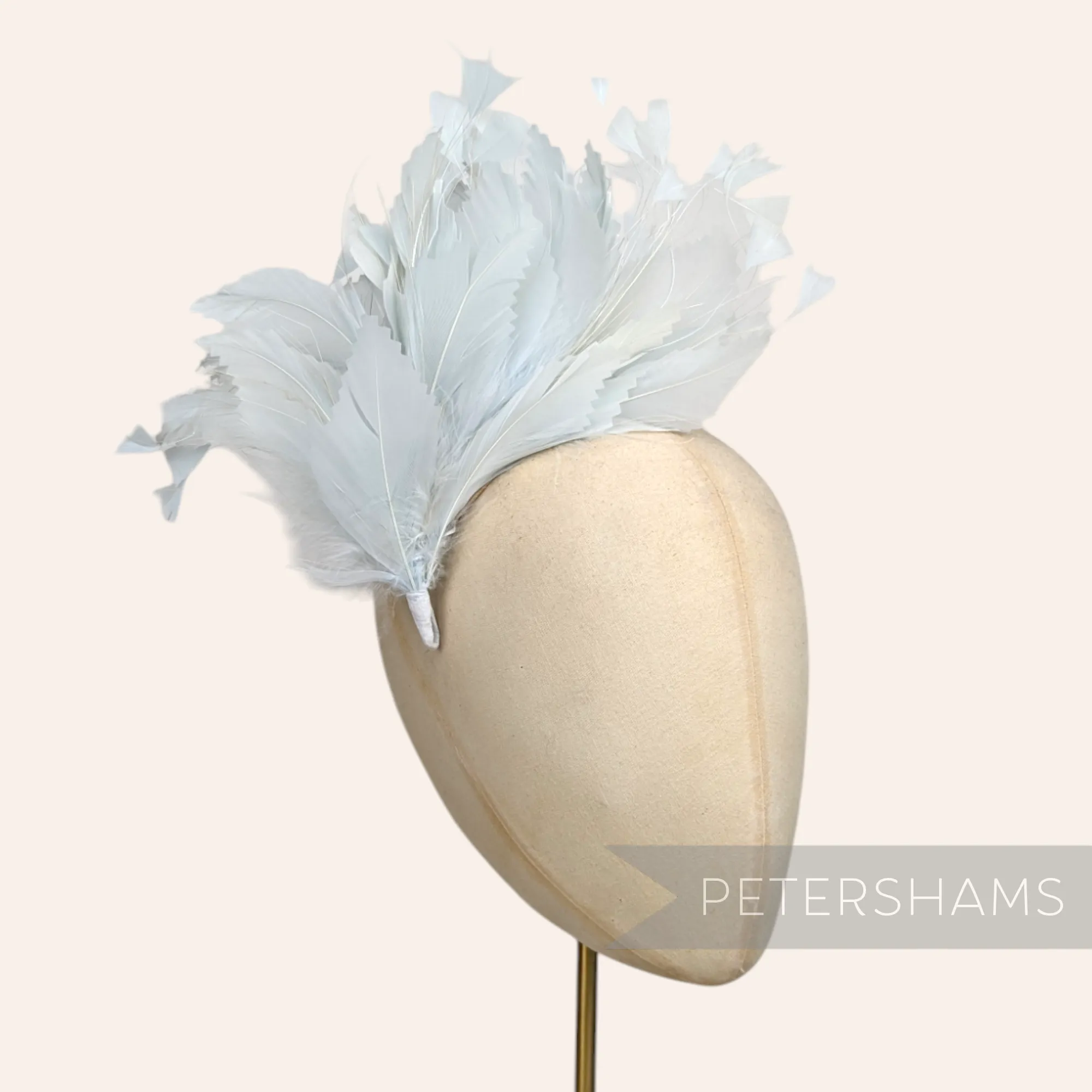 Large Zig Zag Goose, Coque & Peacock Feather Hat Mount