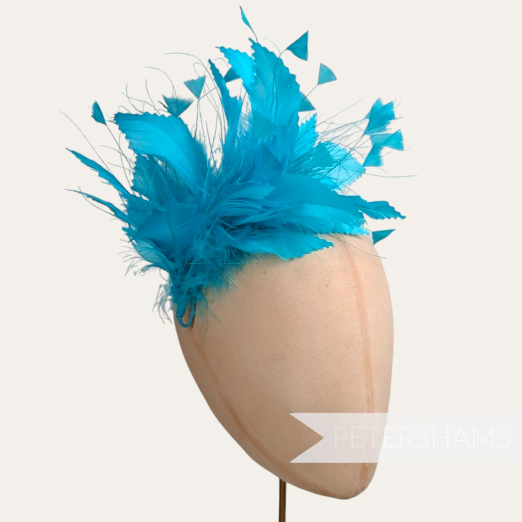 Large Zig Zag Goose, Coque & Peacock Feather Hat Mount