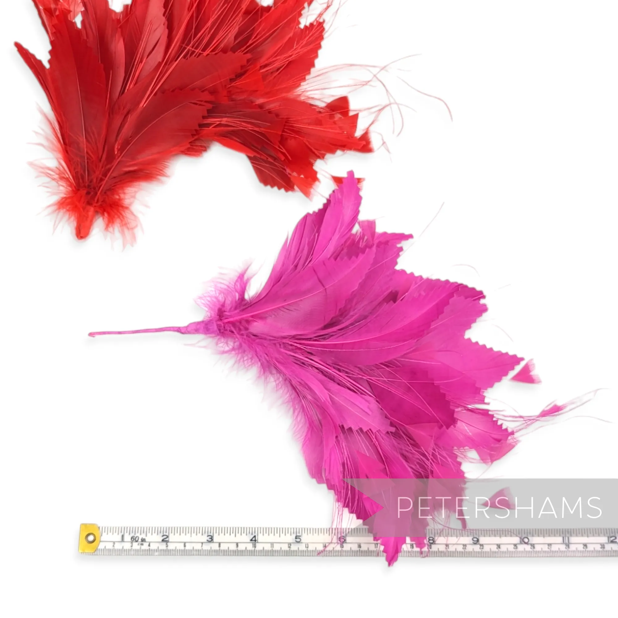 Large Zig Zag Goose, Coque & Peacock Feather Hat Mount
